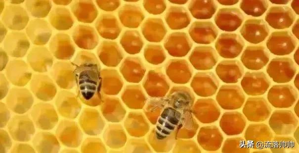 屁股温度38.5要用退烧药吗,臀部冰凉捂热方法