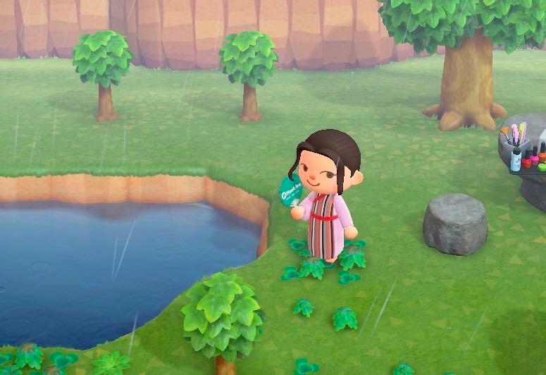 猫咪盲盒真正的猫咪,猫咪盲盒无毛猫