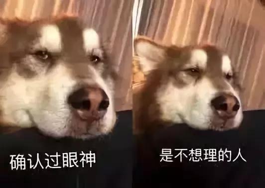 今年网络十大流行词,咬文嚼字2023十大流行词