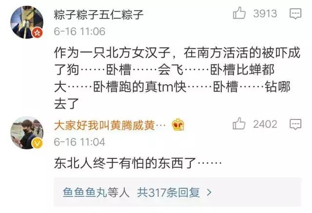 断头不死，马桶里重生，南方蟑螂凭什么把北方汉子吓出猪叫