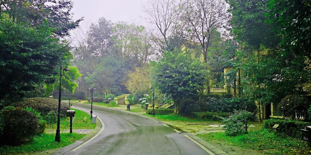 168太空素食效果怎么样,热烈祝贺培训圆满成功