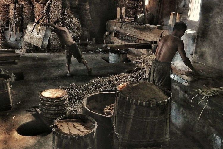 8月向日葵云海（徽州百工、黟县的朋友圈、瓷都景德镇）采风