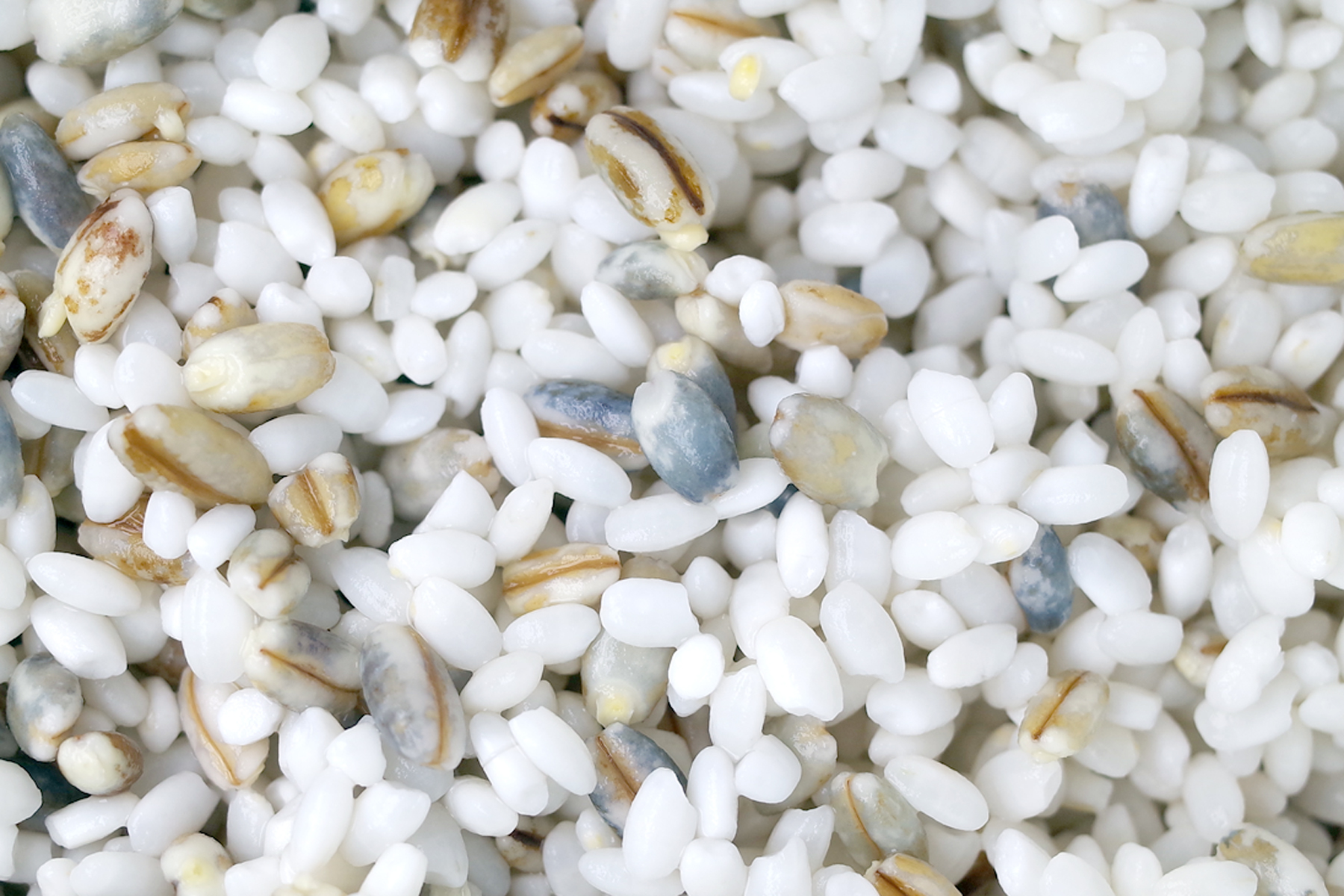 酒酿加椰奶,酒酿加蜂蜜