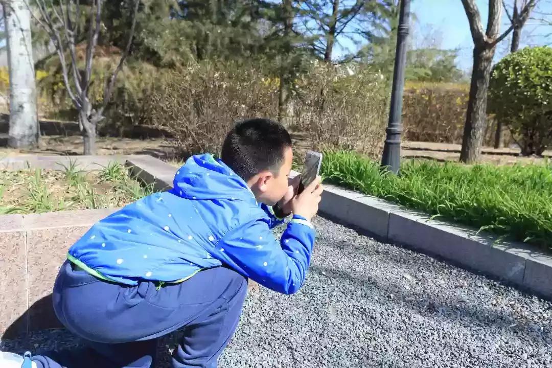 首都师范大学附属云岗小学:追溯北京古风韵遍寻春日俏风光