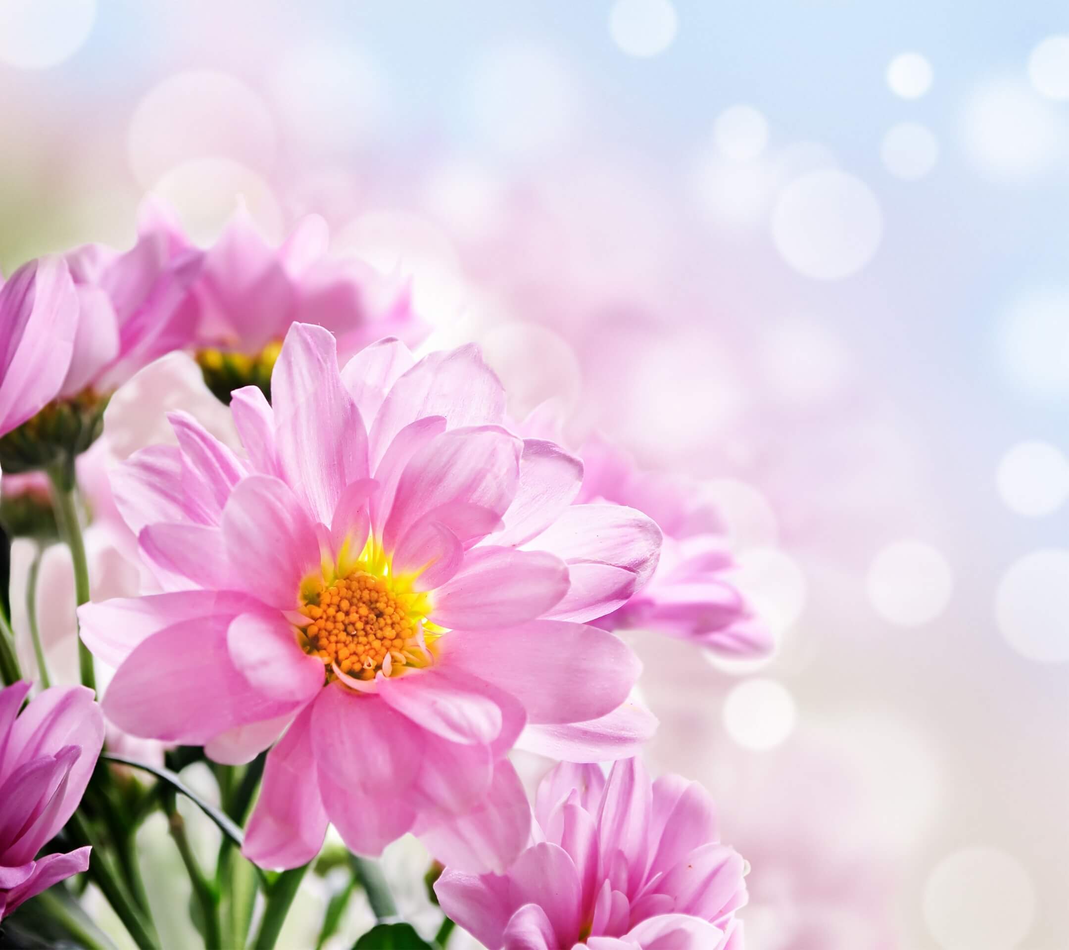 我爱你是个完整句子吗,我爱你三个字倒过来说