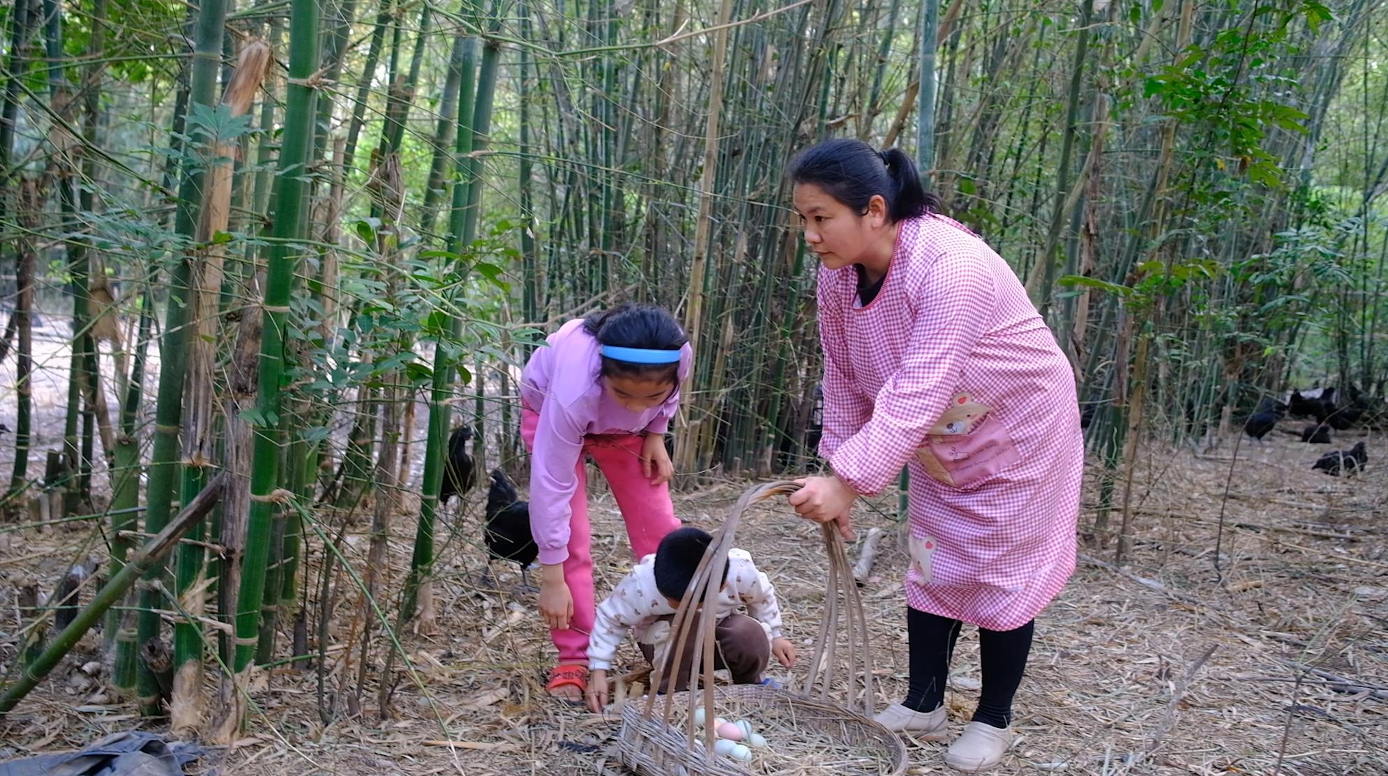 全身灰黑的鸟像鸡一样大不会飞,全身都是黑色的鸡