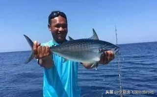 巴厘岛6晚8天2人独立成团专司专导纯玩无购物+婚拍套餐