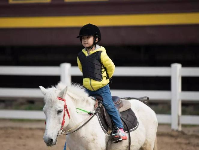 兴趣班不宜报的太多,兴趣班要不要报钢琴