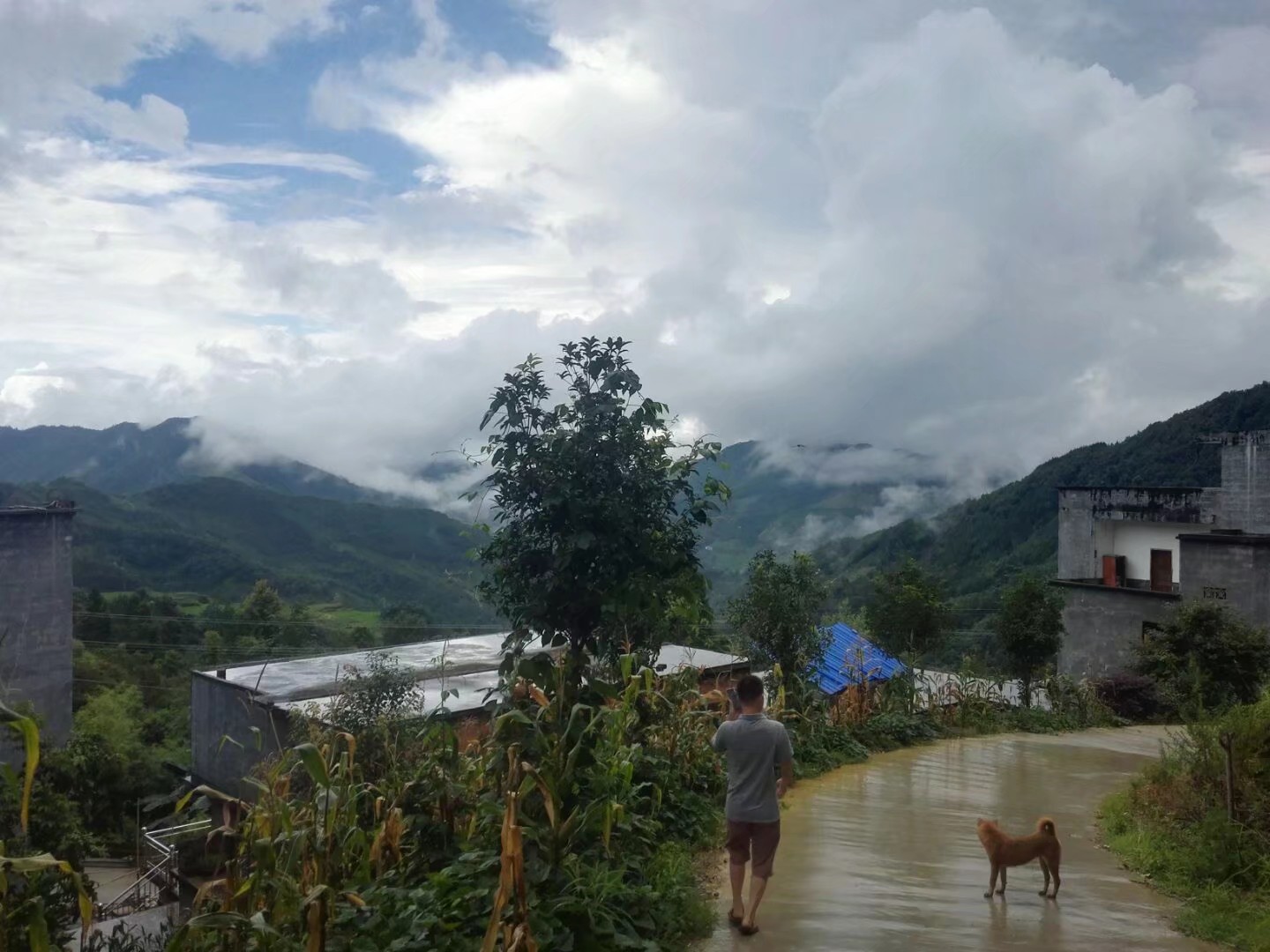 宅基地登记和集体建设用地,宅基地确权2020年新政策直播