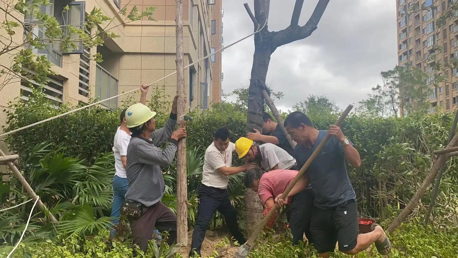 物业人的感悟语句,物业人的从业感悟