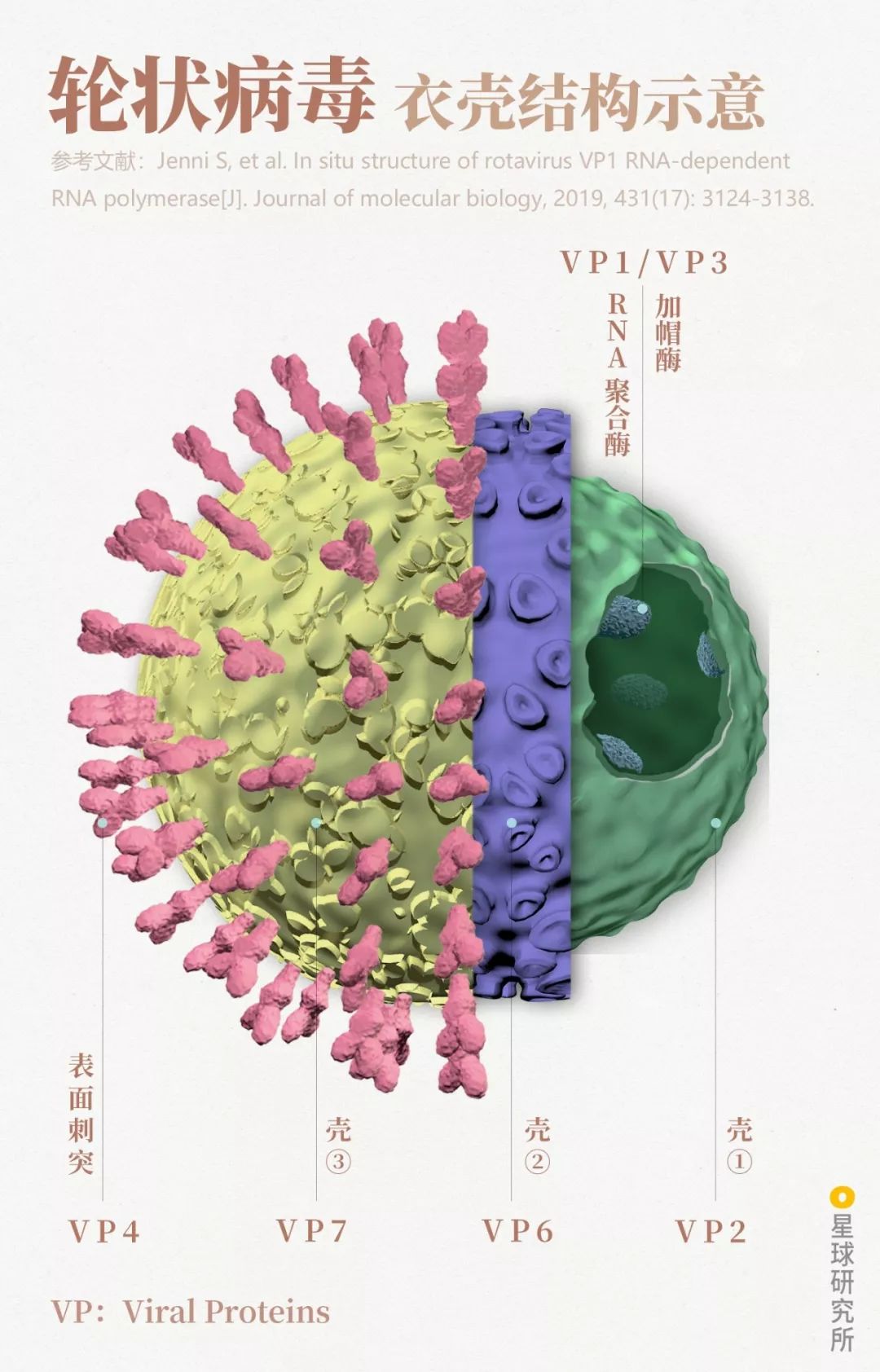人体防卫战,人体痛点攻击技巧