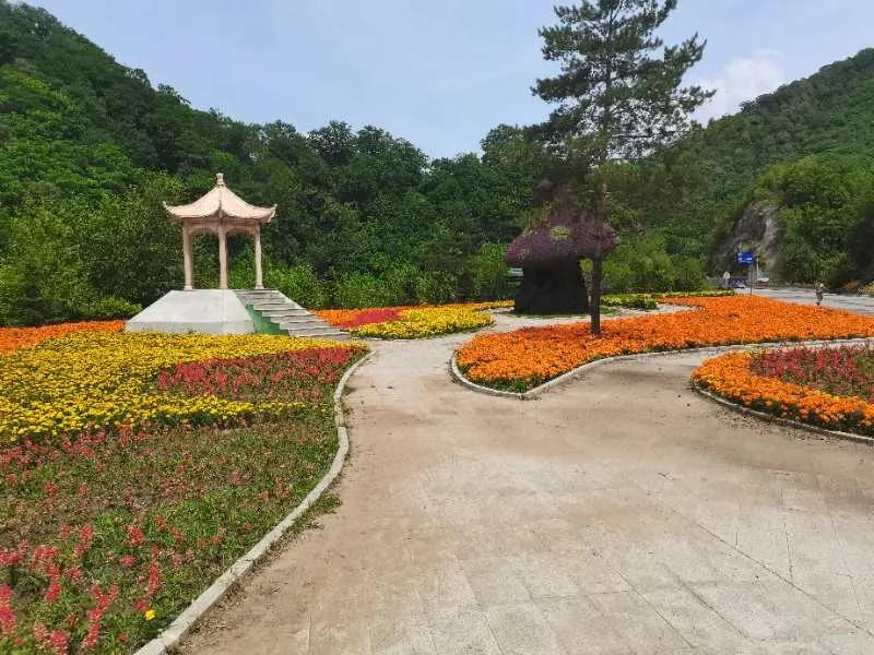 乡村振兴生态富民新画卷,乡村振兴绘就燕赵农村壮美画卷