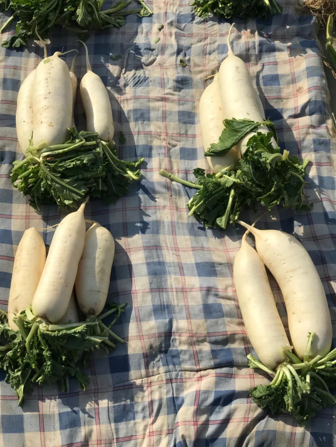 周边最便宜的大集在哪里,10元一两的大集