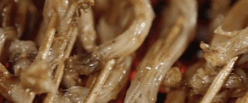 中国烧烤最好吃的地方排名,中国最好吃的烧烤