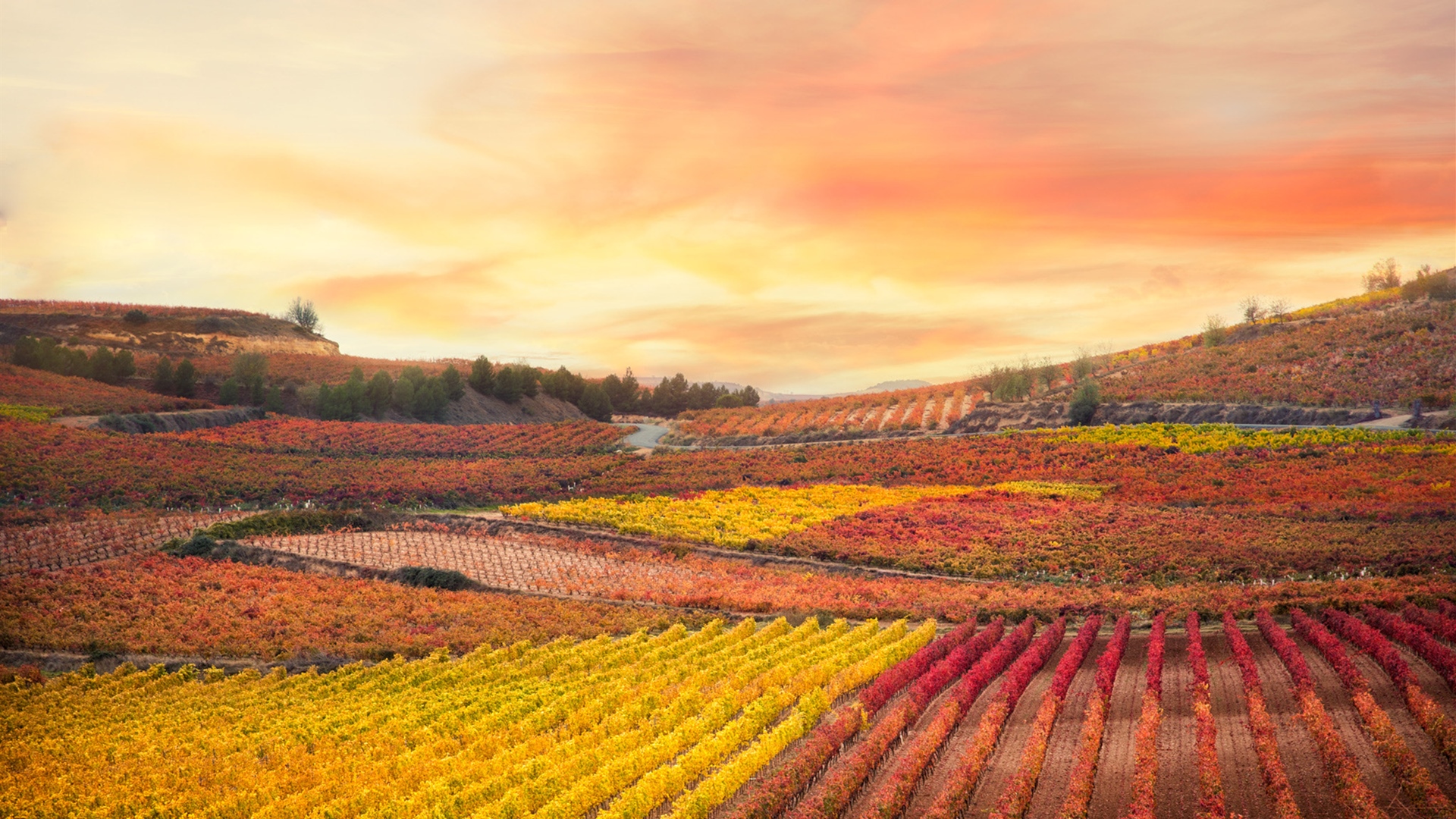酒逢知己千杯少话不投机半句多图,酒逢知己千杯少话不投机半句子
