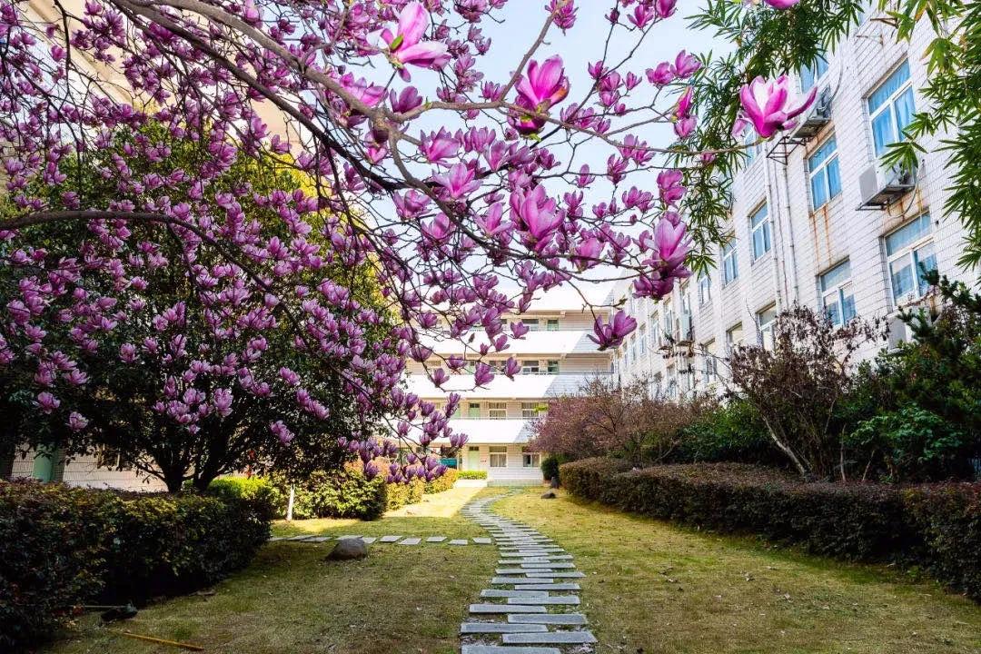 班班都有400分!29中,你们最想知道的