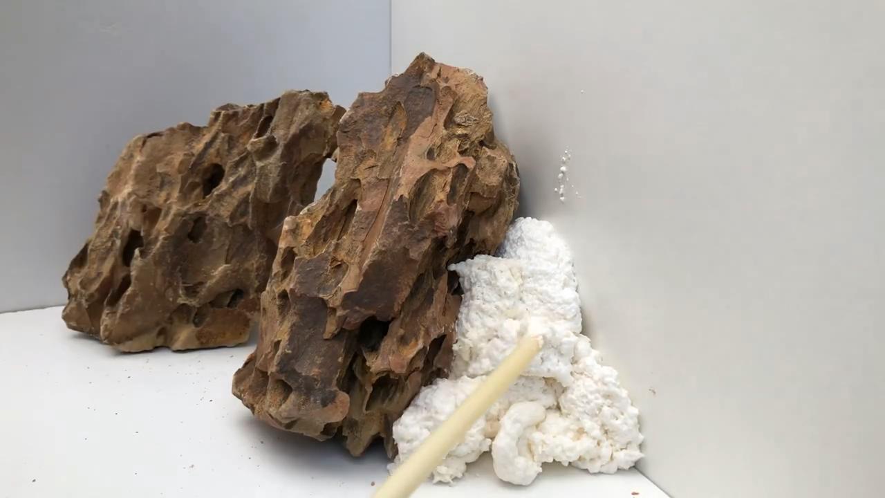 小草缸造景入门水草基本知识,小型草缸造景入门水草基本知识