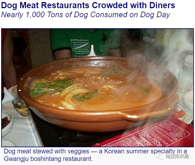 正宗朝鲜烀大块狗肉方法,朝鲜狗肉