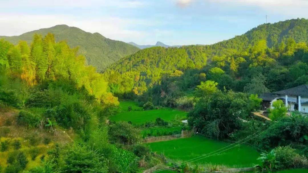 被蚊子咬了过敏反应严重,儿童蚊子咬后肿胀特别严重