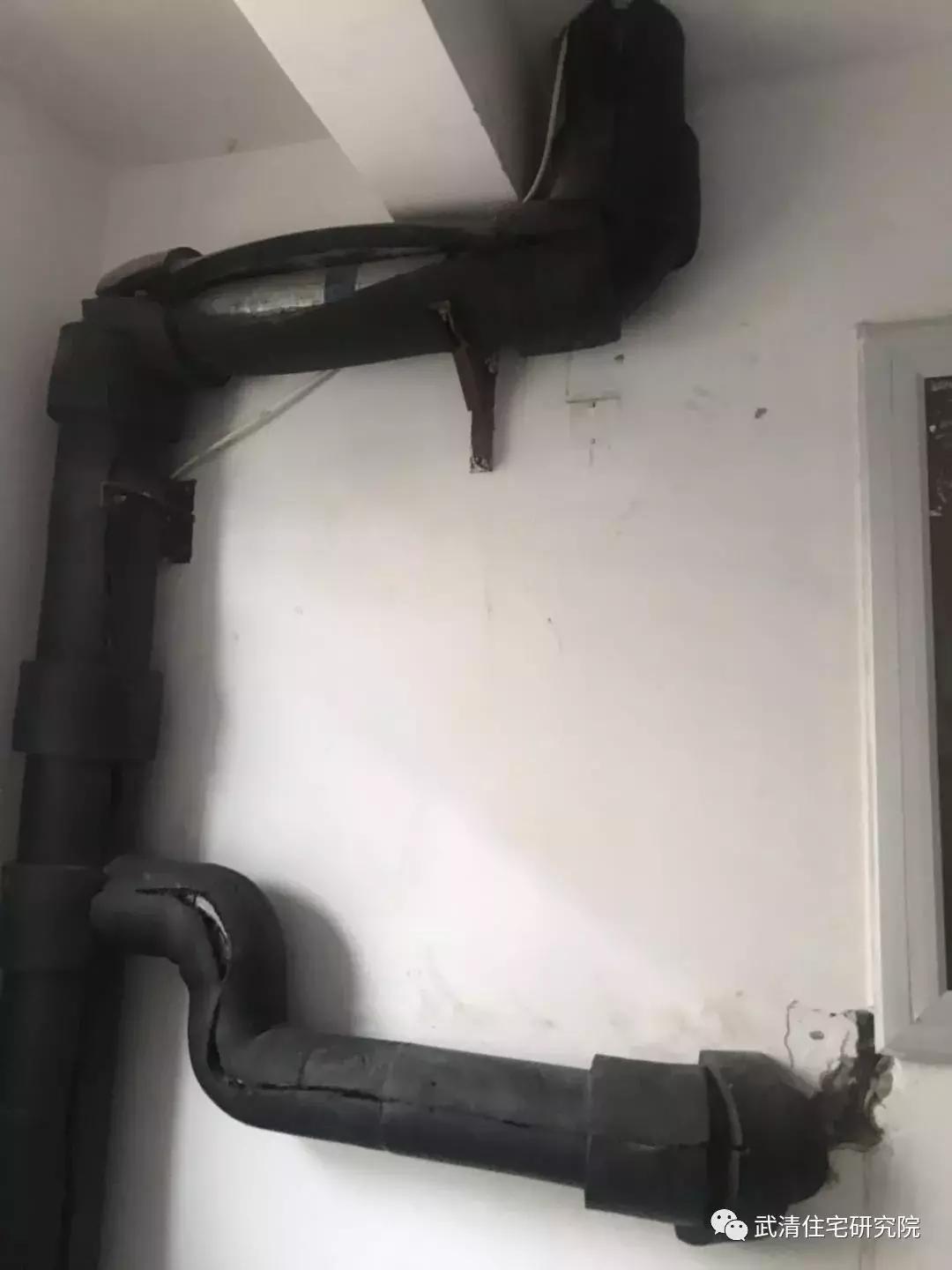 天津市大妈买菜,小区买菜大妈