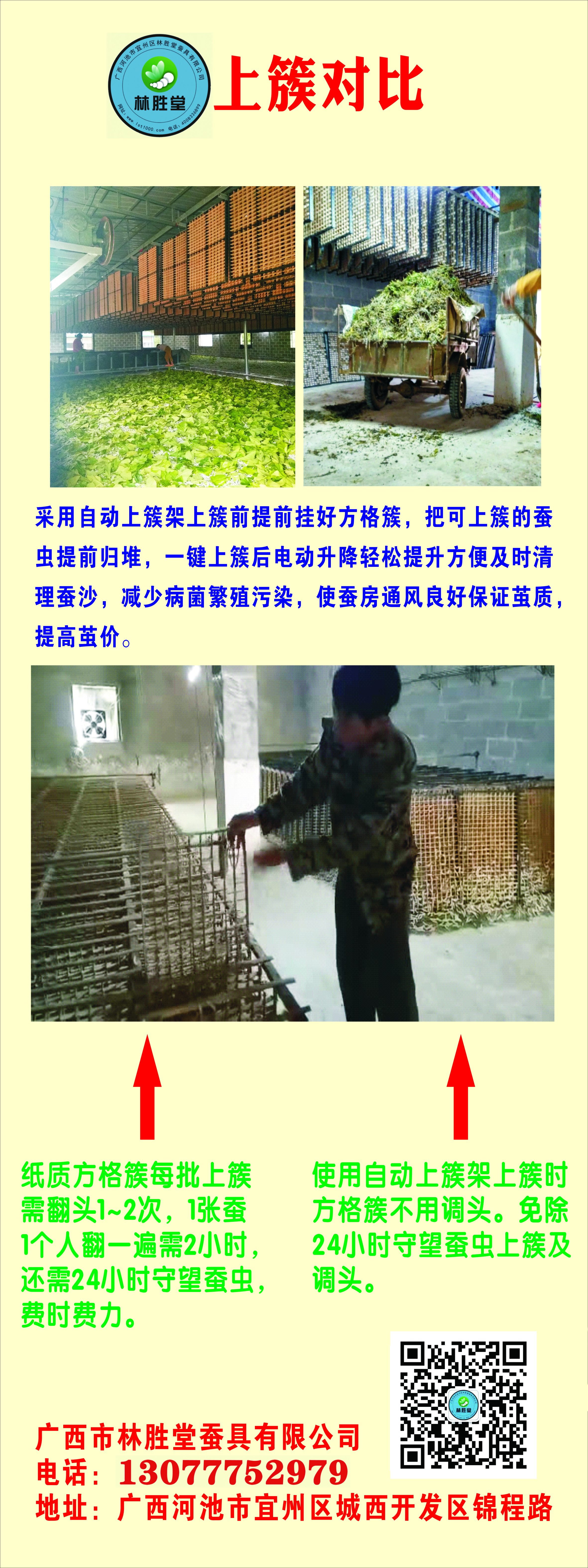 蚕氯气中毒了如何补救,蚕中毒怎么消除