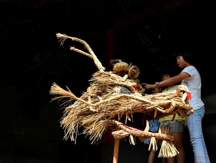 长沙洋湖发展历程,长沙洋湖湿地的历史
