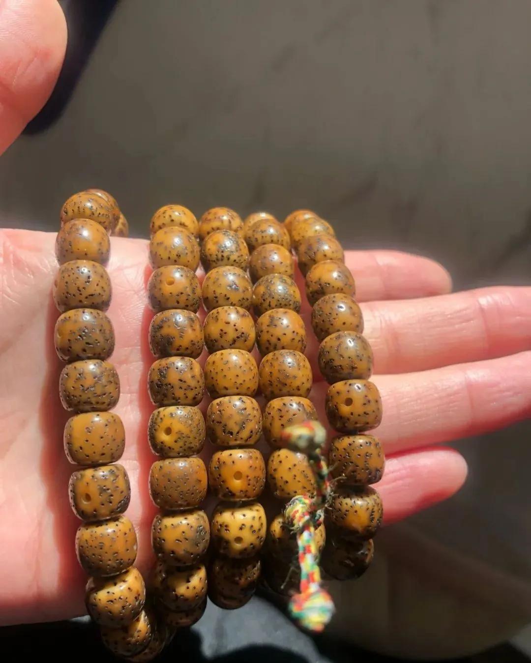 星月菩提阴皮是什么意思,星月菩提的阴皮怎么形成的