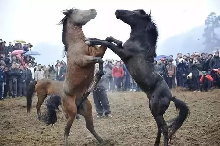 柳州融水苗寨风情,柳州市融水苗族自治县最大的苗寨