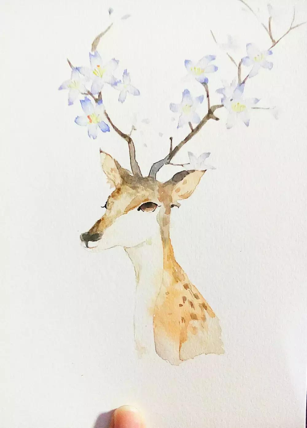 最便宜水彩工具推荐,水彩工具推荐勾线笔