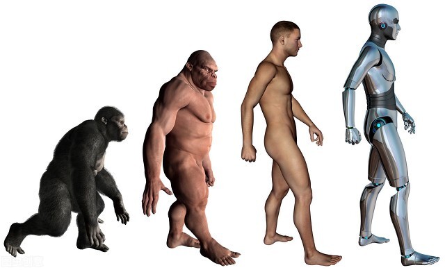 涨知识了!原来人都会长肛毛,还有4大作用,不能随便“光屁股”