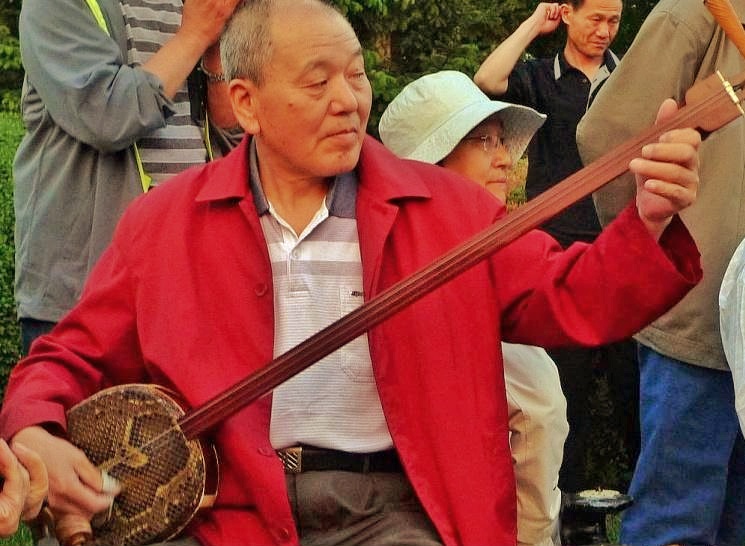 郁金香是荷兰的国花代表永恒的爱,为什么荷兰要把郁金香定为国花