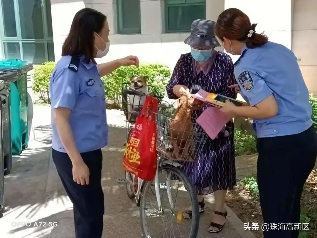 铲屎官请注意文明养犬妙招看这里,铲屎官养狗必看知识