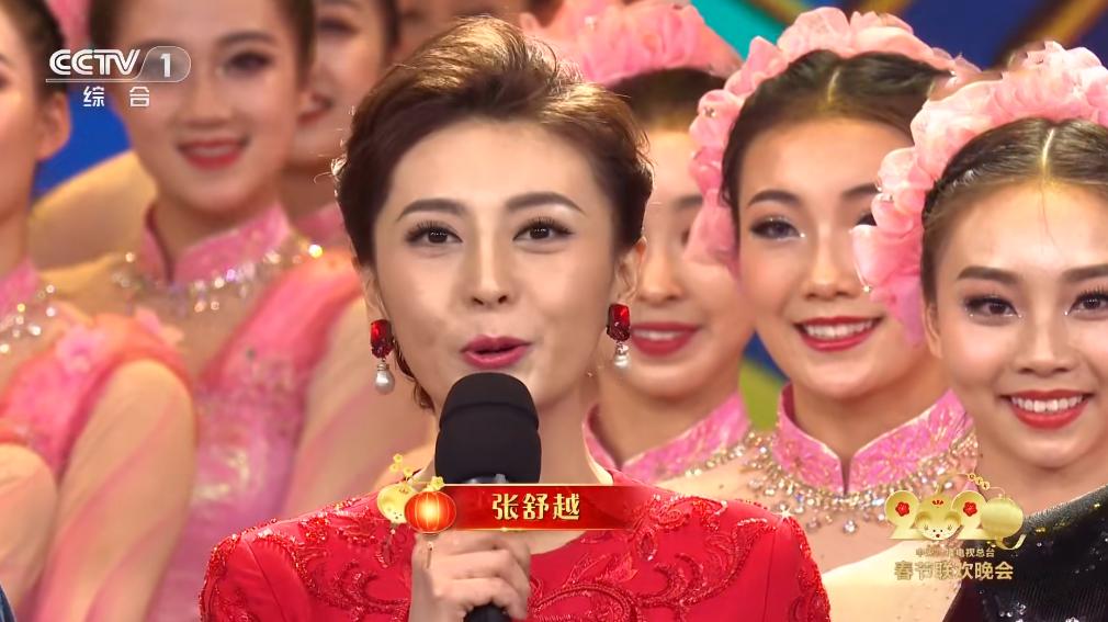 张舒越与董卿什么关系,张舒越和董卿比赛视频