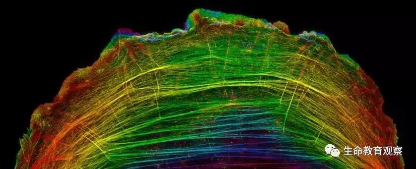 看完后，整个人都有点不对劲了（传播生物知识）