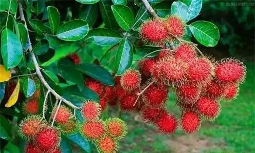 为什么就是离不开保亭？3大理由够不够