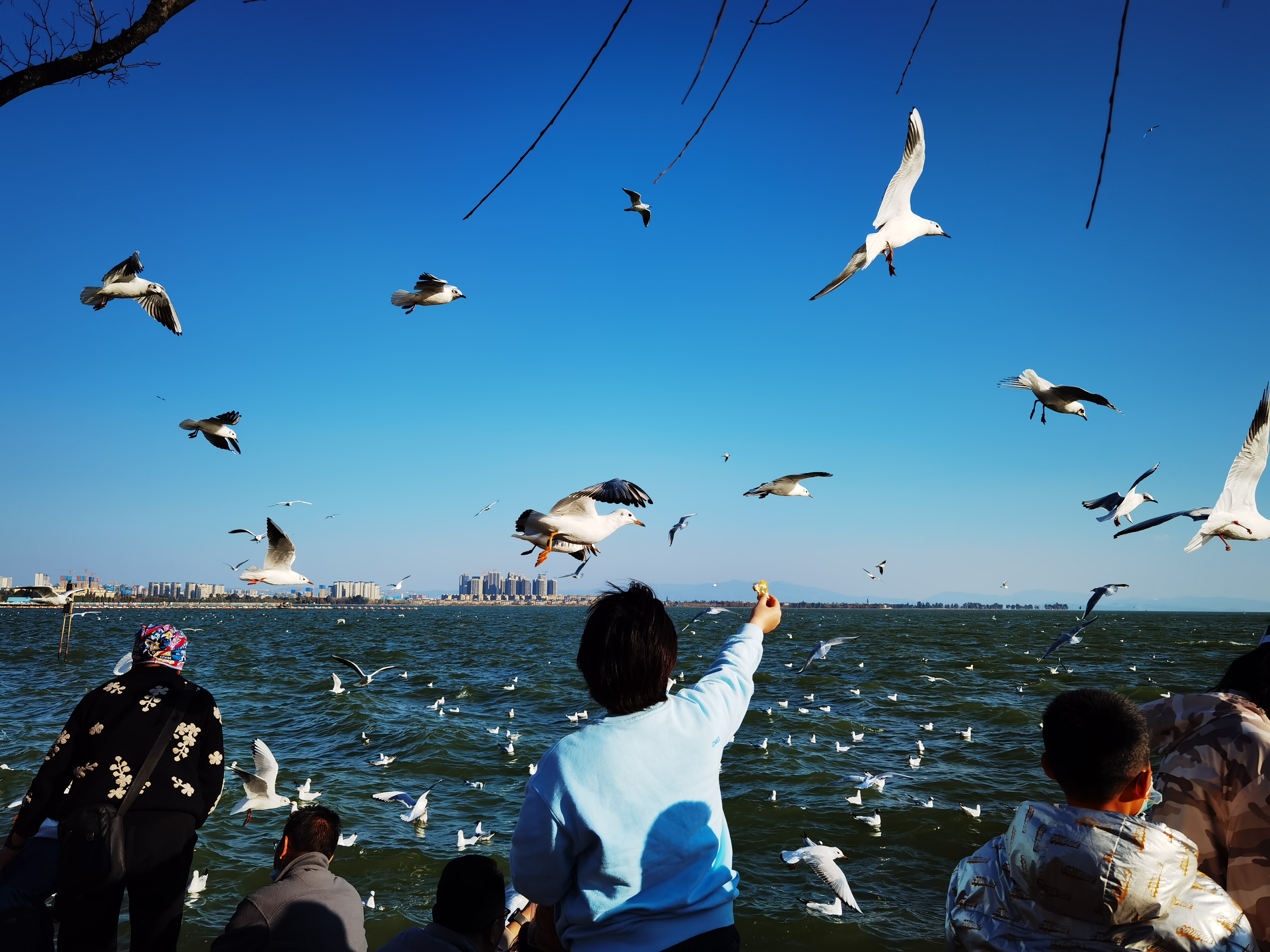 昆明真实的五一度假攻略图片,昆明游玩景点夜景图片真实
