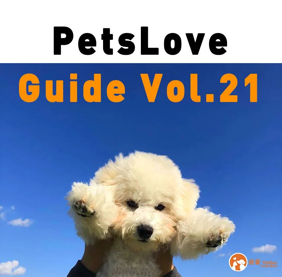 幼犬抽搐口吐白沫查不出犬瘟,狗狗犬瘟抽搐吐大量白沫怎么办