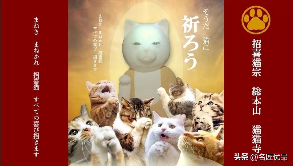 20岁少年建“猫猫寺”，和尚住持全是猫咪，网友：不敢撸不敢吸