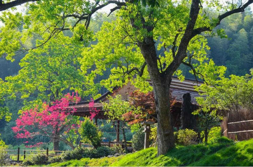 春游江淮请您来推介,春游江淮请您来