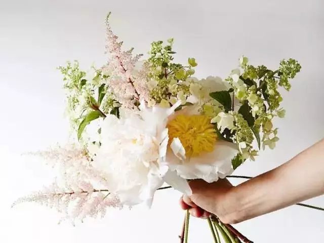 50种鲜切花花语,每个花艺师都要知道