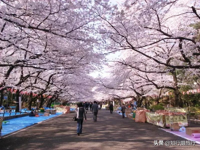 日本东京帝国酒店,日本东京住宿酒店推荐