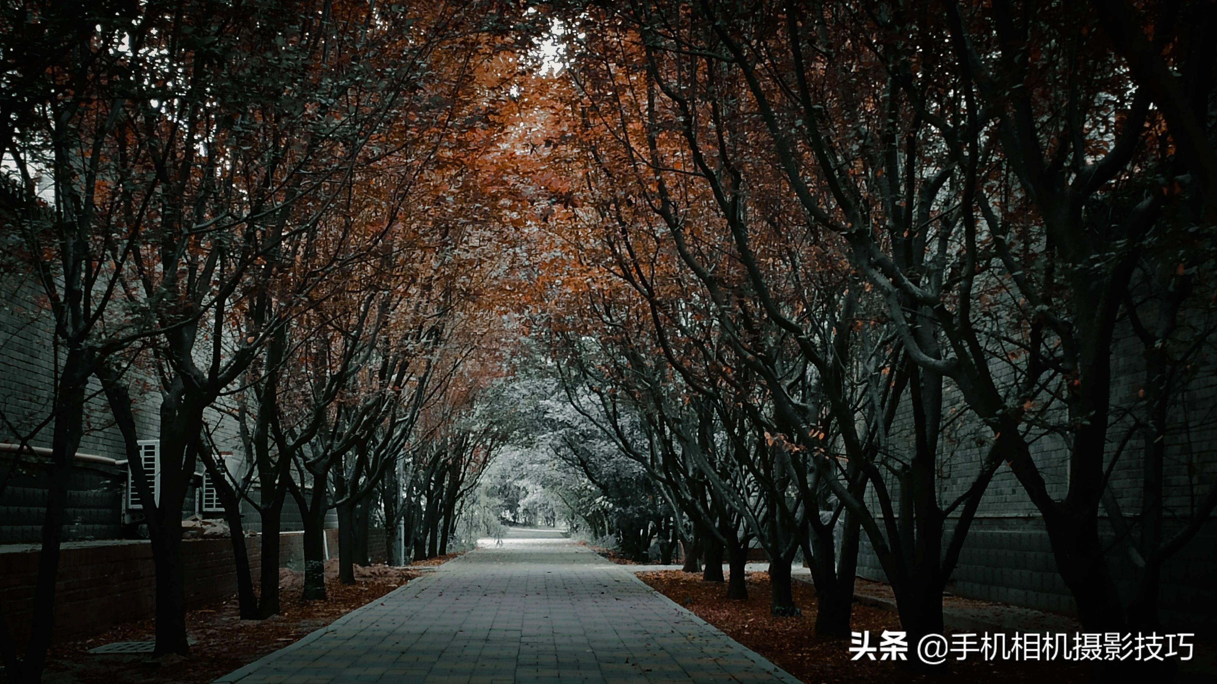 一些普通人拍出的好看照片教程,15张照片高级感