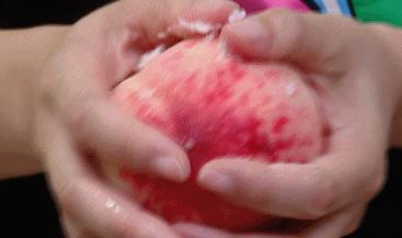 桃子如何去毛最简单,桃子去除桃毛