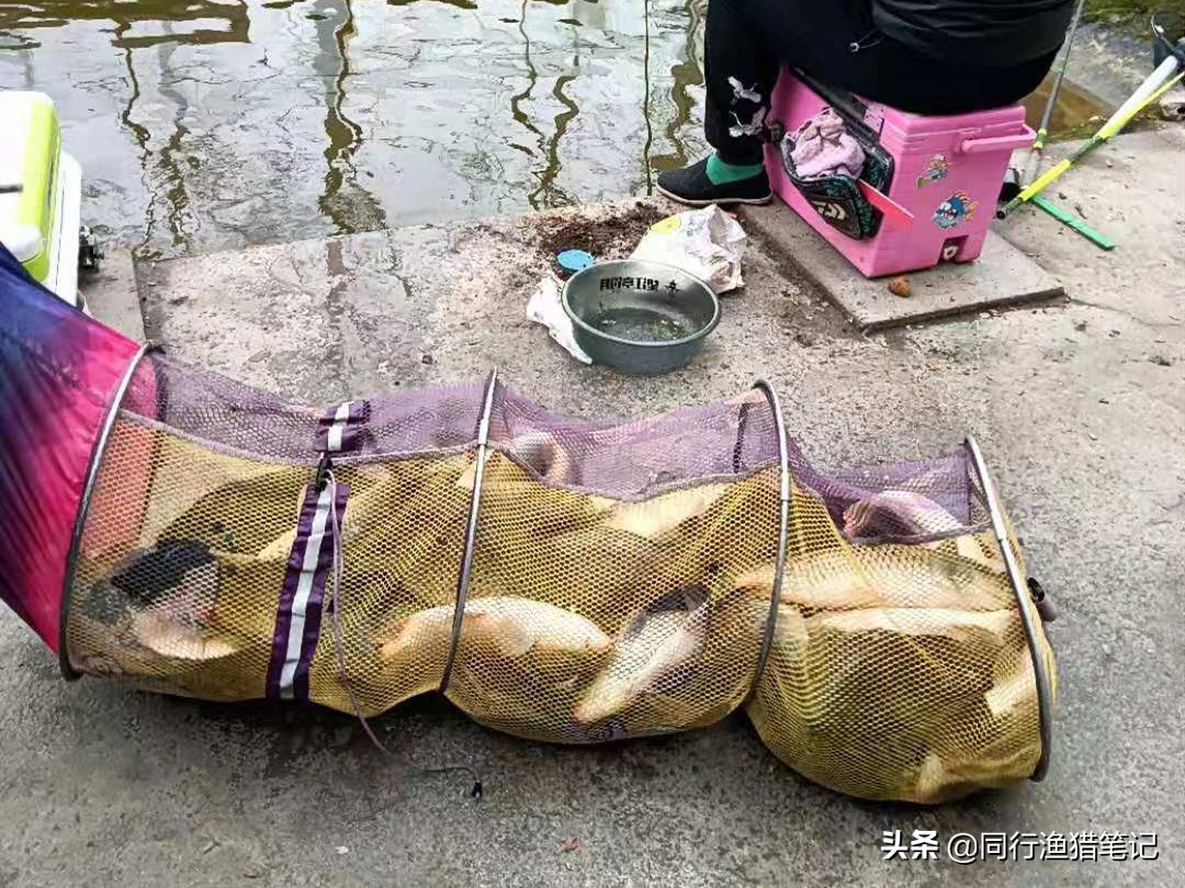 黑坑私人订制票价,私人定制黑坑收费规则