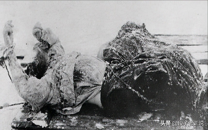 俄国一代妖僧拉斯普京,沙俄拉斯普京