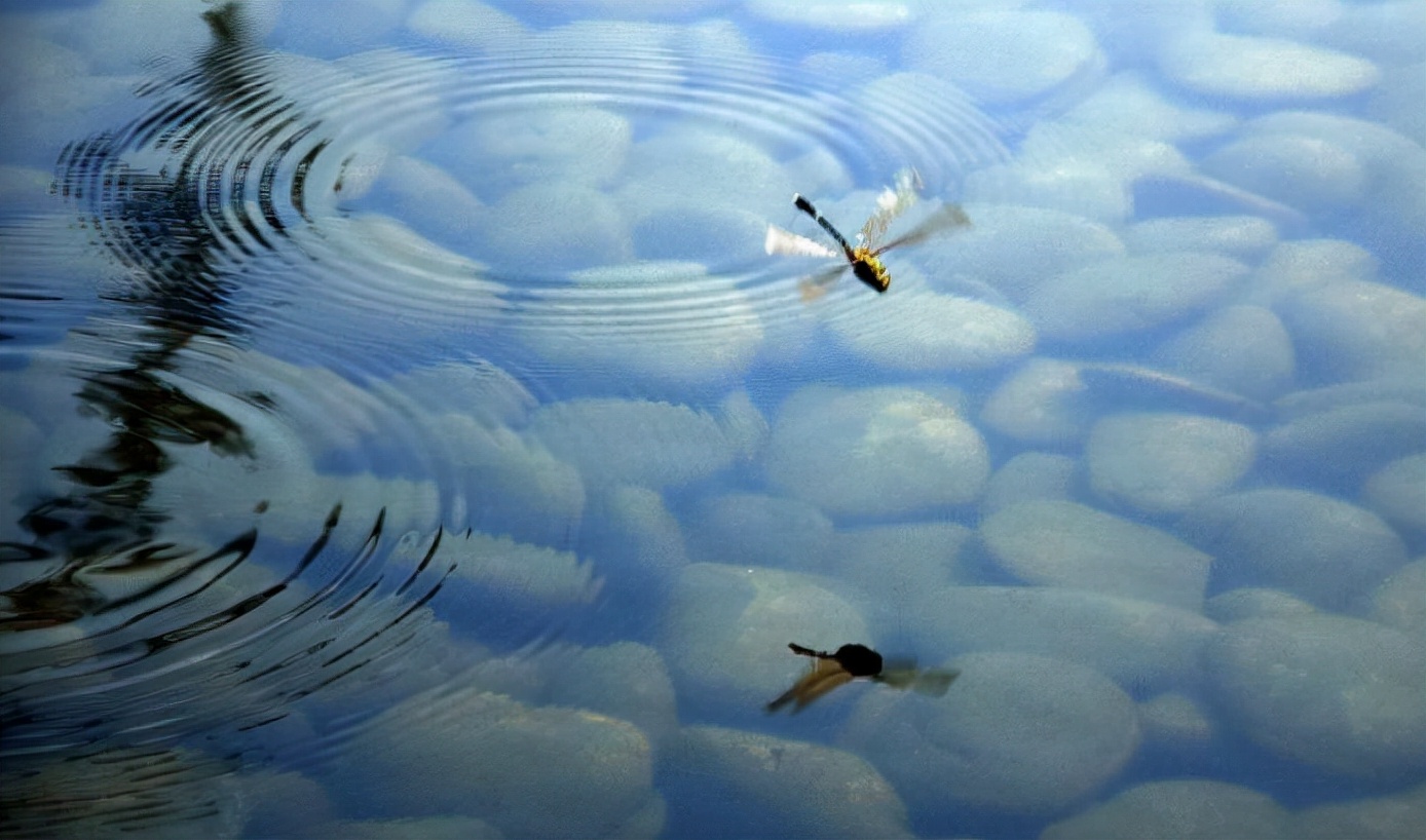 怎么判断钓鱼当天气压大概是多少,如何判断钓鱼气压高低口诀