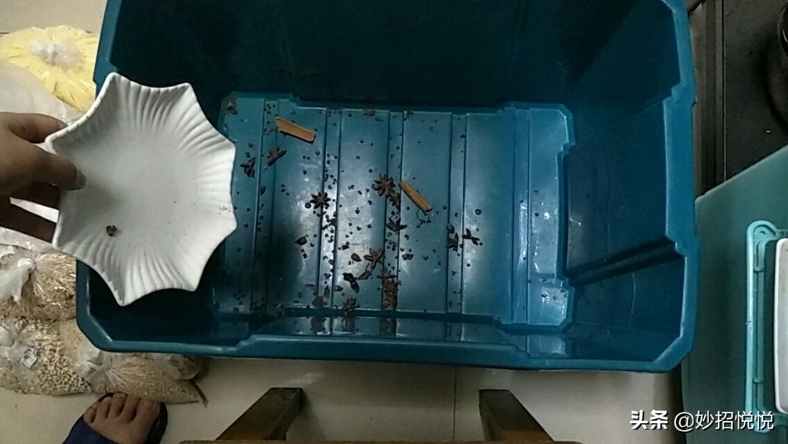 家里五谷杂粮长虫子还能放屋里吗,五谷杂粮有虫子怎么办