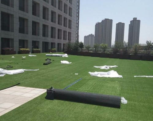 足球场铺设人工草坪和天然草坪,足球场草坪和高尔夫草坪