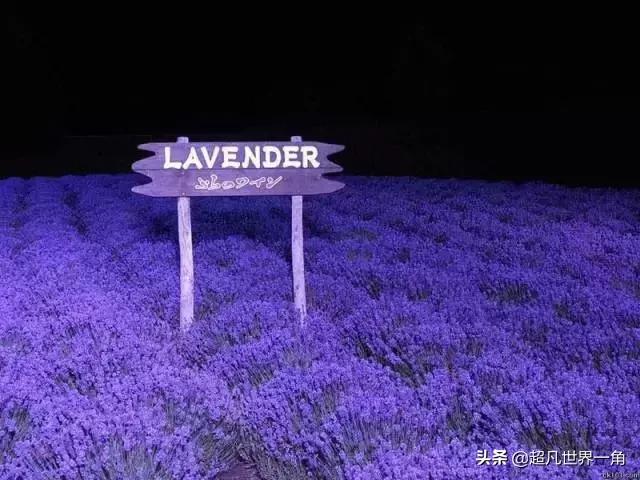 夫妻生活，这才是老公，是爷们看完别哭