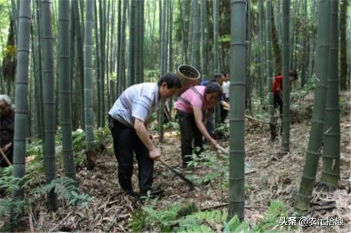 虫草放时间长不会有毒吧 (为什么说有的地方的虫草有毒)